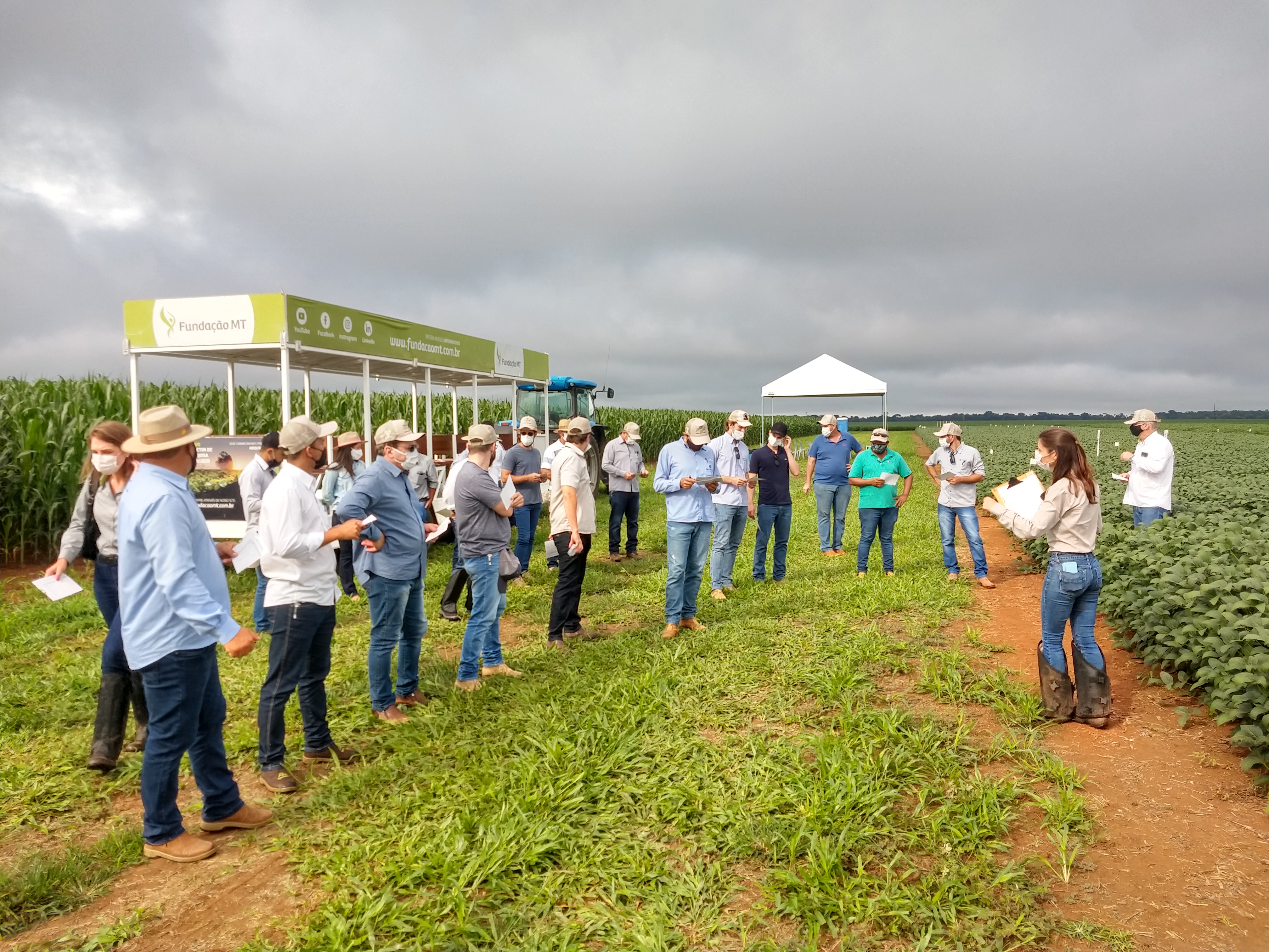 event-image-fundacao-mt-em-campo-2a-safra-4349