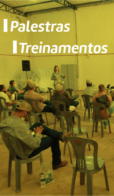 card-image2-300b2939-38e9-4010-9423-61b5bb46974a