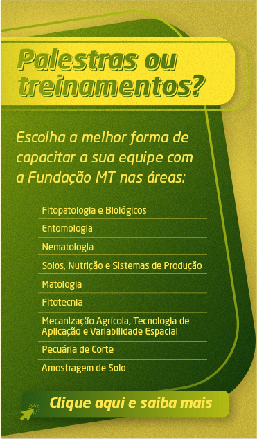 card-image1-300b2939-38e9-4010-9423-61b5bb46974a