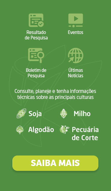 card-image2-f03b22a8-b79c-44c8-b44d-5a424de72c9f