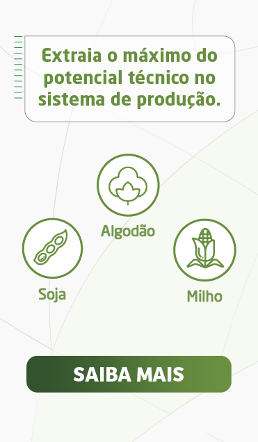 card-image2-c198275a-7d02-4a1e-a916-27951fdd0657