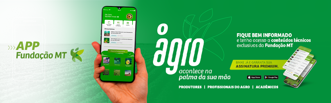 Imagem categoria