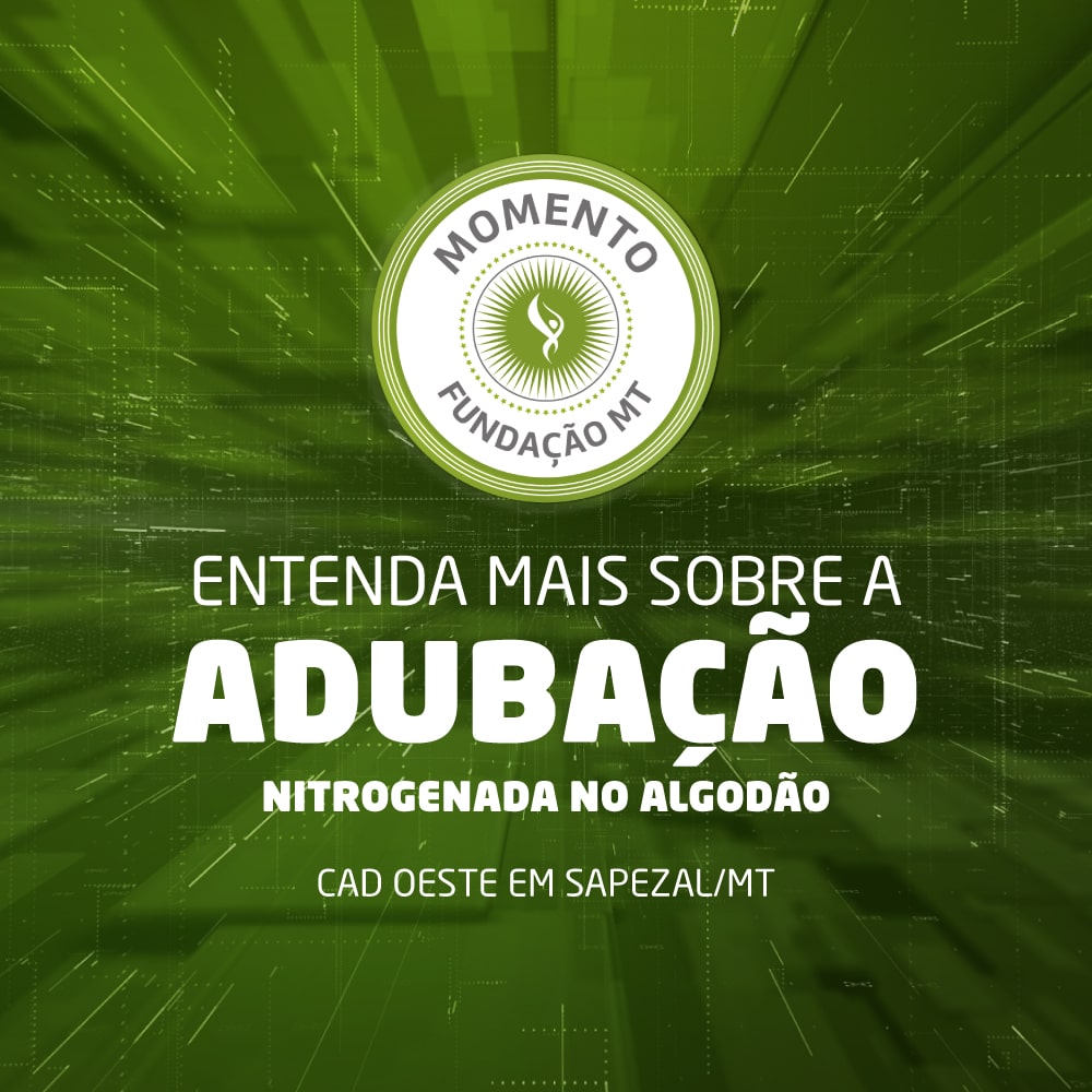 Adubação nitrogenada na cultura do algodão em Mato Grosso
