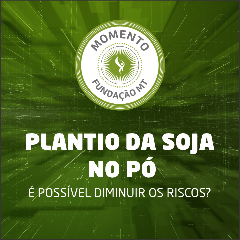 Plantio de soja no pó: É possível diminuir os riscos?