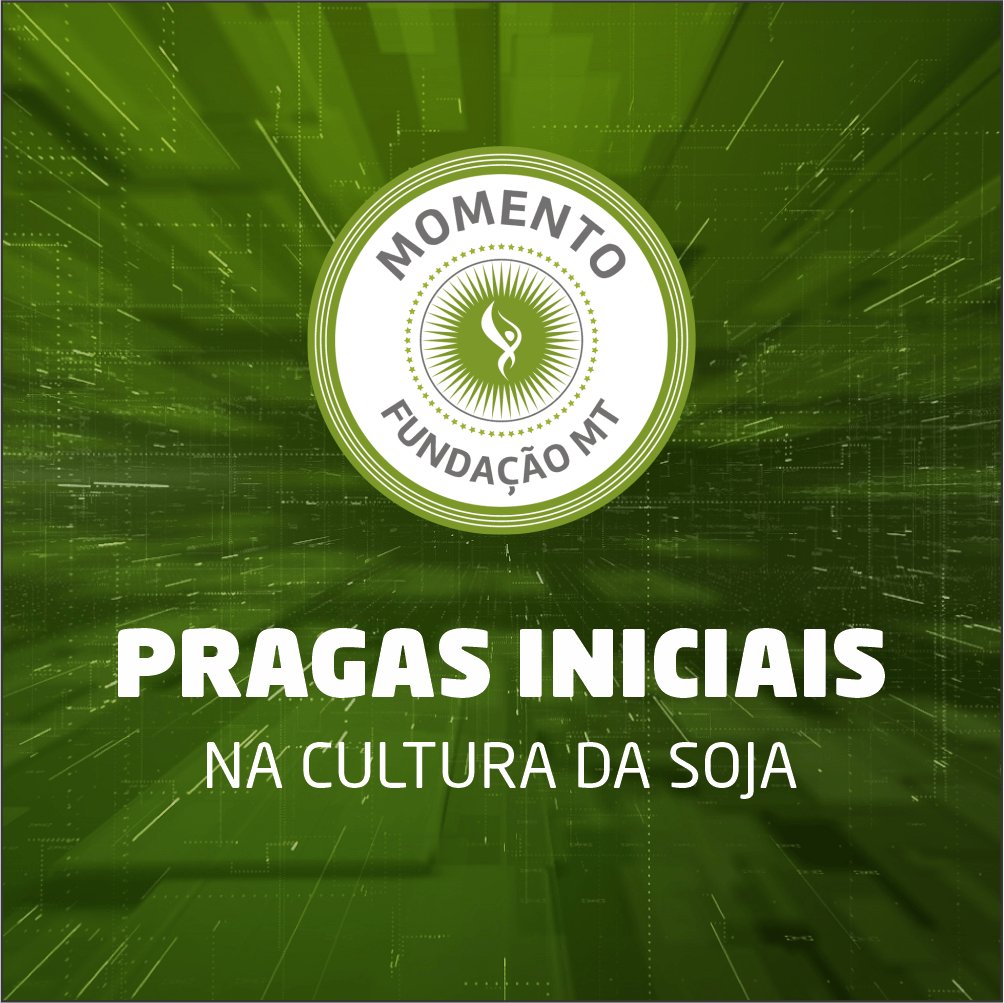 Pragas iniciais na cultura da soja