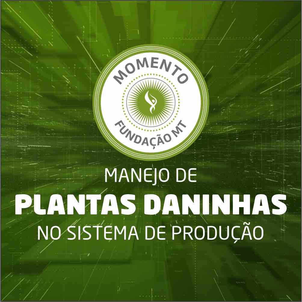 Manejo de plantas daninhas no sistema de produção