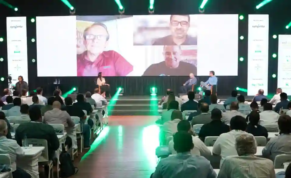 Produtores podem continuar otimistas sobre o futuro do algodão