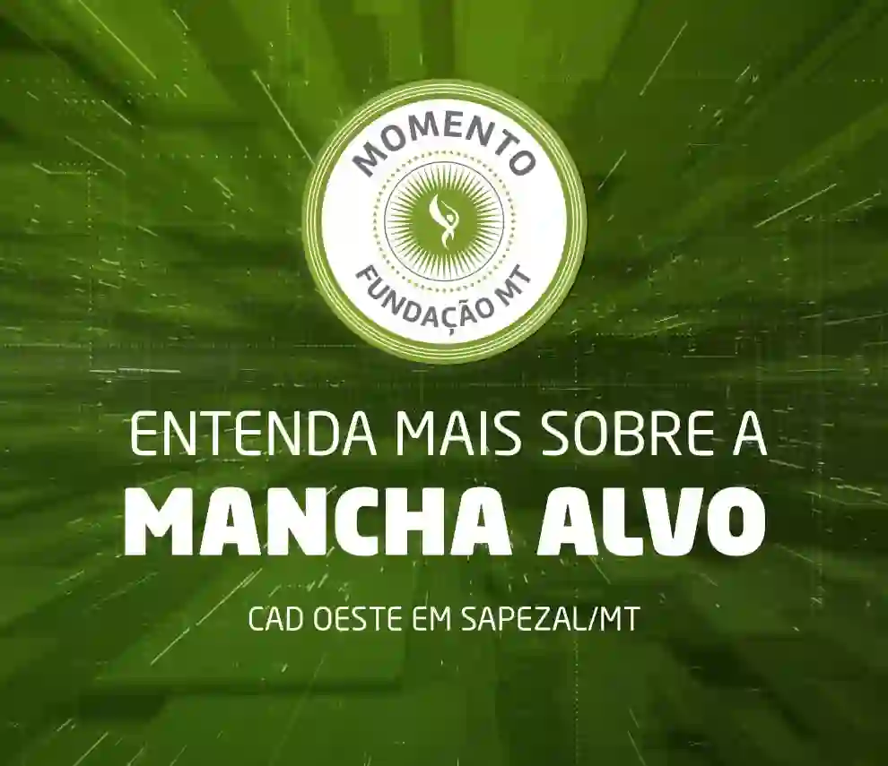 Cenário de doenças na cultura do algodão em Mato Grosso