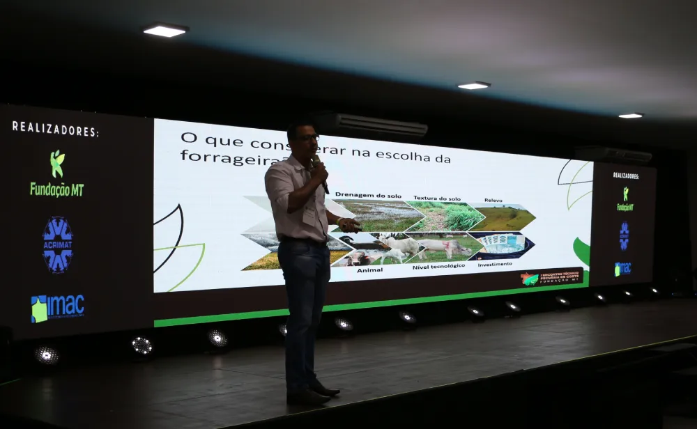 Existe capim ruim ou escolha errada?