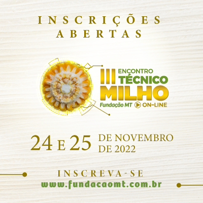 Encontro Técnico online reúne especialistas  para debater a cultura do milho