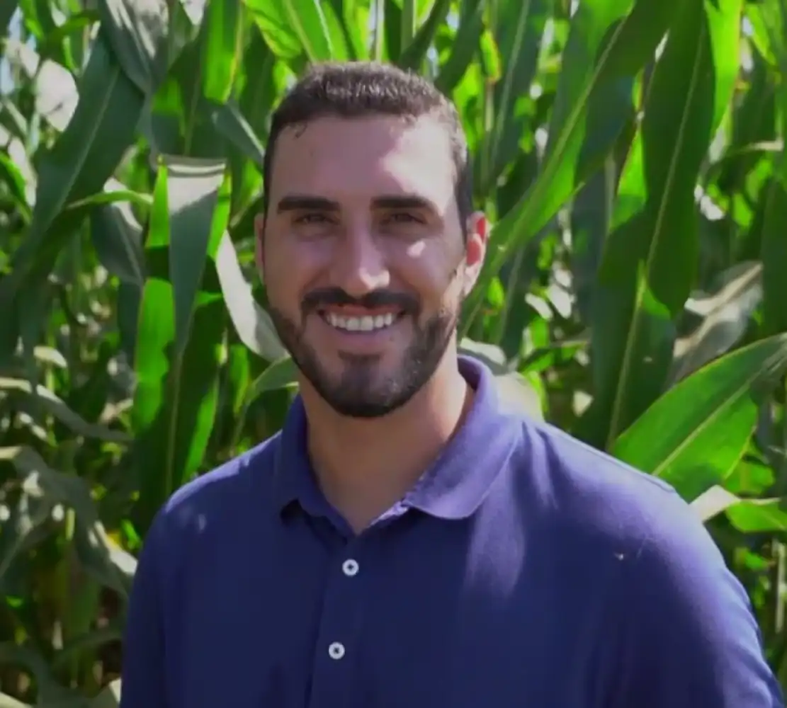 Produtor de MT consegue alta produtividade na safra de milho