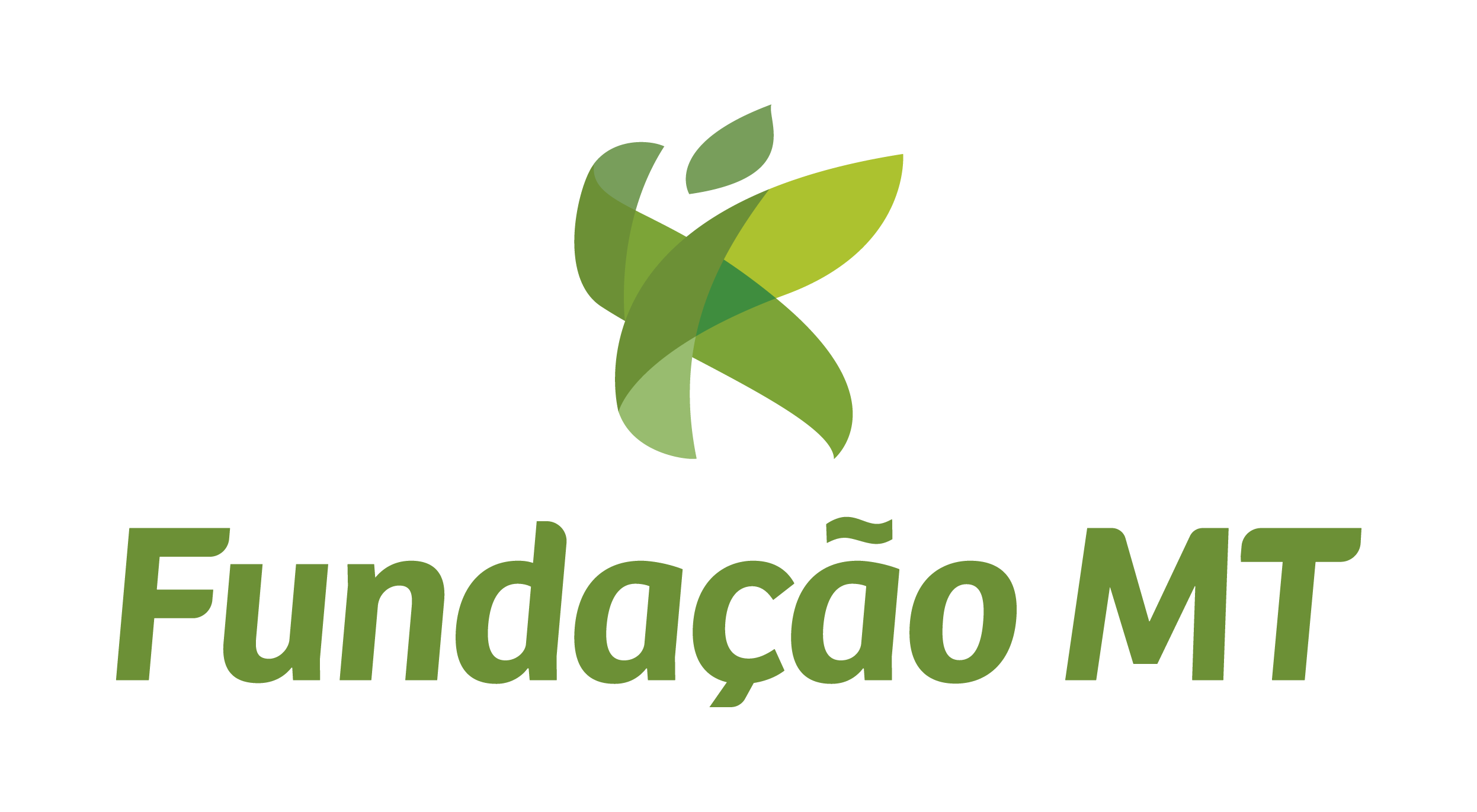 Como 30 anos de pesquisas da Fundação MT contribuíram com o agronegócio