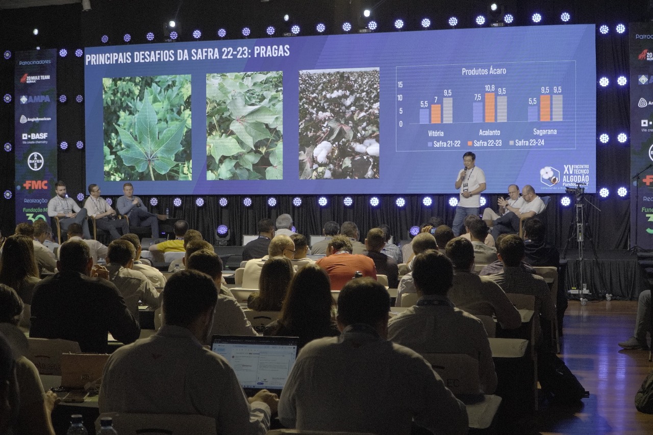 Encontro Técnico do Algodão irá debater os desafios e oportunidades para a cotonicultura