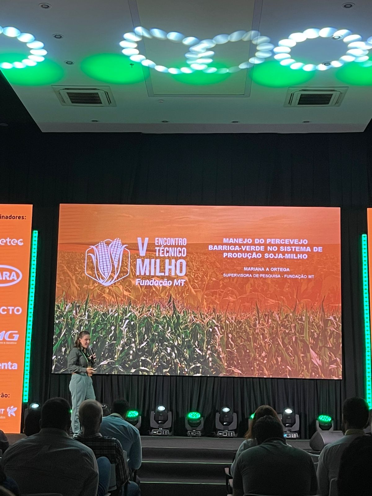 Combate ao percevejo barriga-verde no milho começa na lavoura de soja