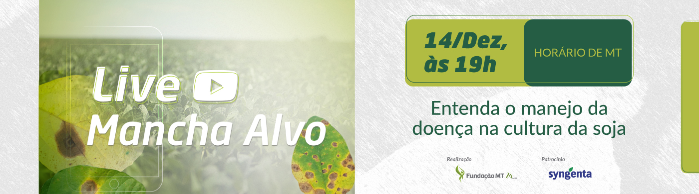 banner-Live Mancha Alvo