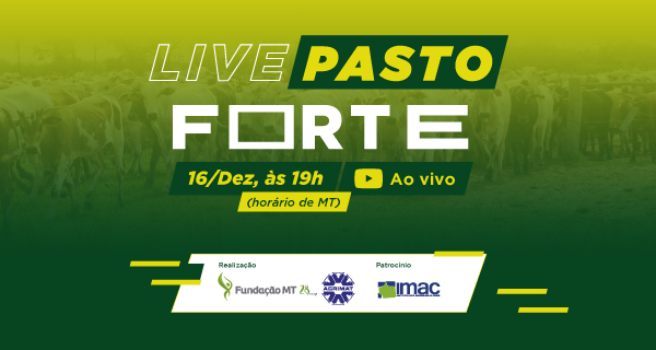 event-image-live-pasto-forte
