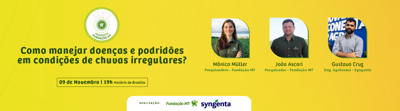 banner-Live Como manejar doenças e podridões em condições de chuvas irregulares?